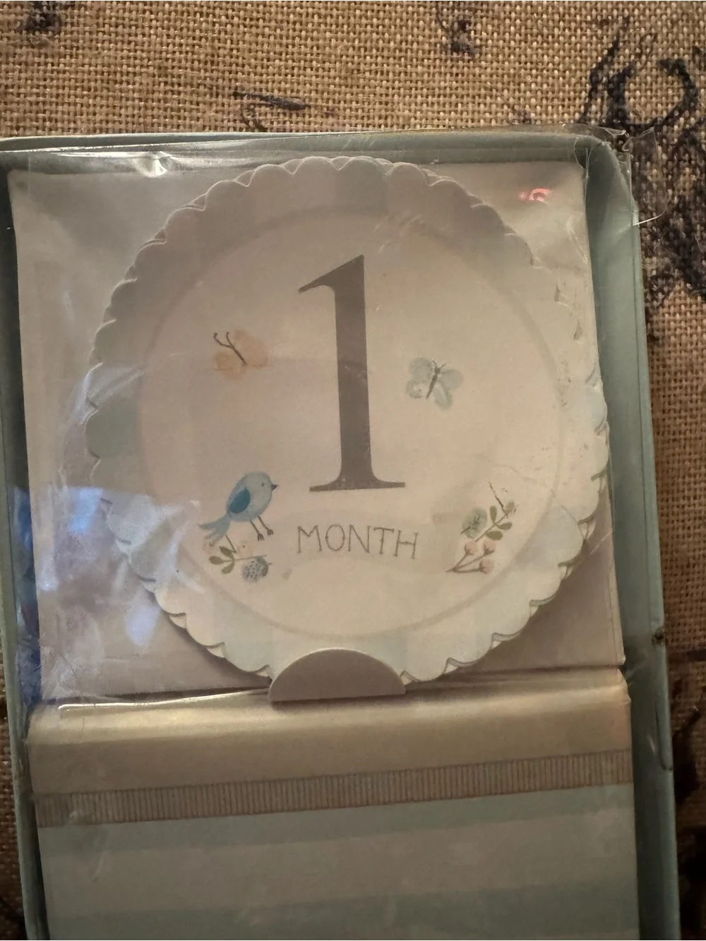 Stepping Stones Little One Memory & Milestone Set Album, 12 Month Stickers